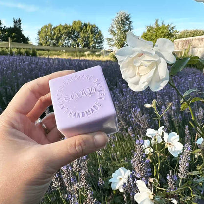  Purple lavender goat milk handmade soap placed against a backdrop of purple lavender blooms and white roses at Lavender Backyard Garden, NZ.