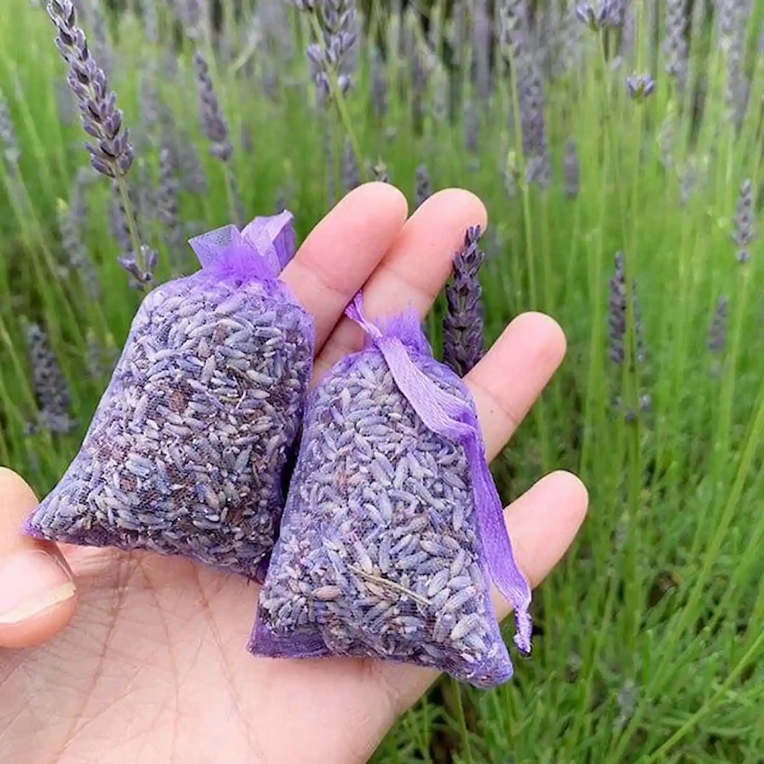 Purple organza lavender sachet bag displayed in a blooming lavender field.