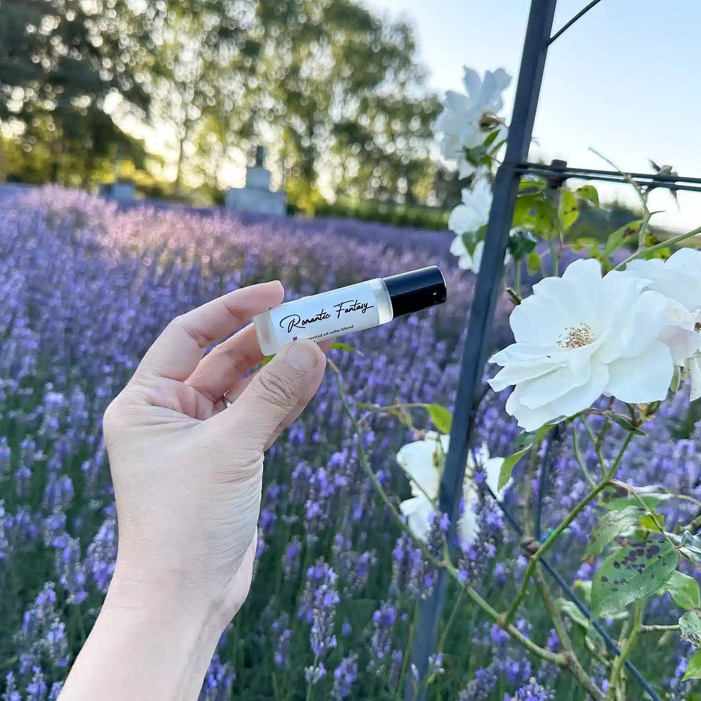 Romantic Fantasy Essential Oil Roller Blends from NZ Lavender Farm, held by hand against white climbing roses with rows of blooming lavender flowers at Lavender Backyard Garden, NZ.