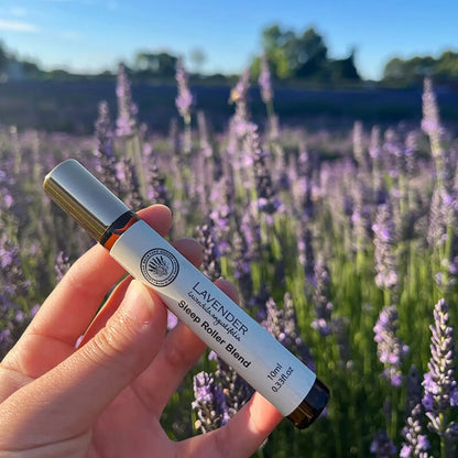 Sweet Dream Lavender Roller Blend scented with essential oils, set against the backdrop of a beautiful lavender field in New Zealand.