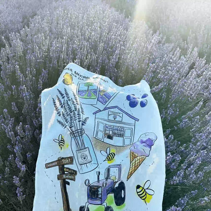 One tea towel placed on the bushes at sunset, overlooking the lavender field at Lavender Backyard Garden.