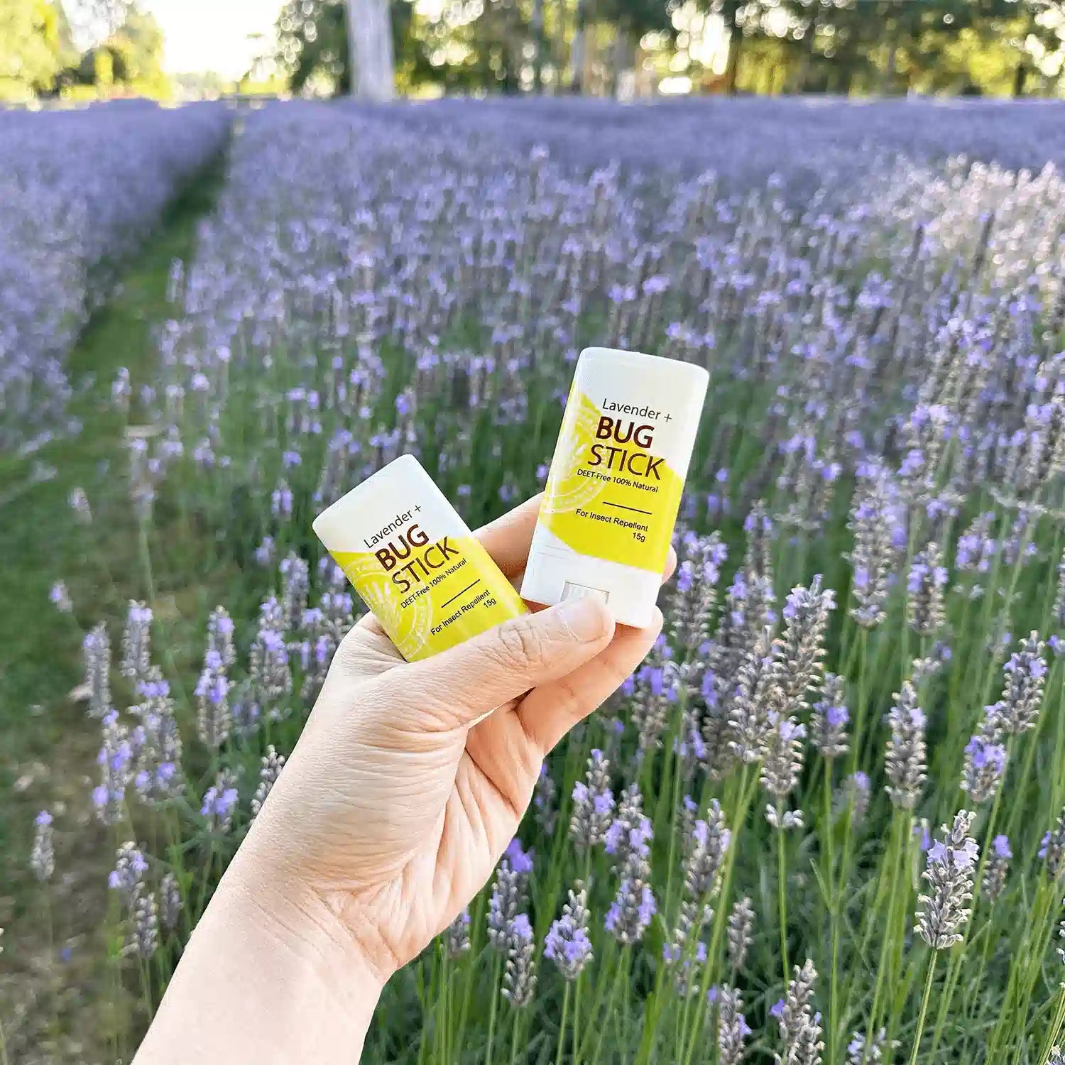 Two Bug Off Stick insect repellent scented by essential oils against blooming lavender rows at Lavender Backyard Garden, NZ.