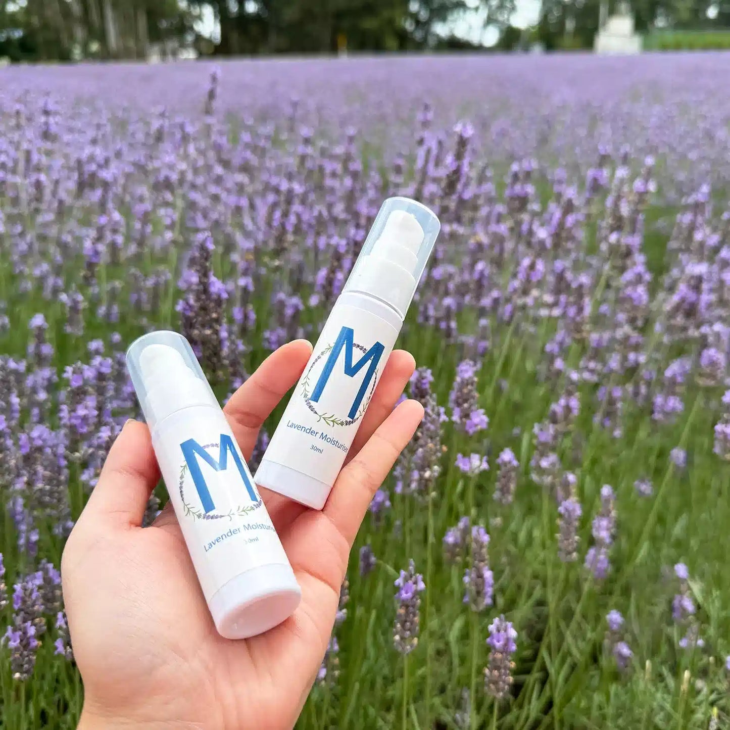 A hand holding two travel-sized bottles of lavender lotion moisturizer, scented with essential oil, set against the background of a lush lavender field in New Zealand.