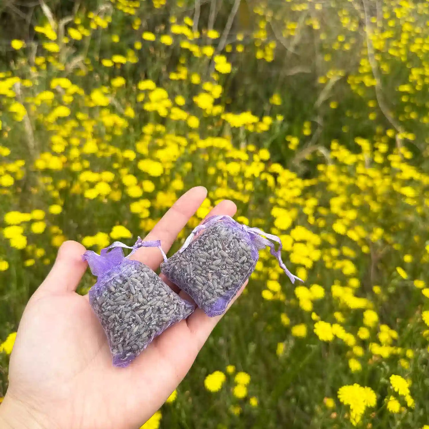 Two lavender sachets held by hand, set against a vibrant field of yellow daisies.