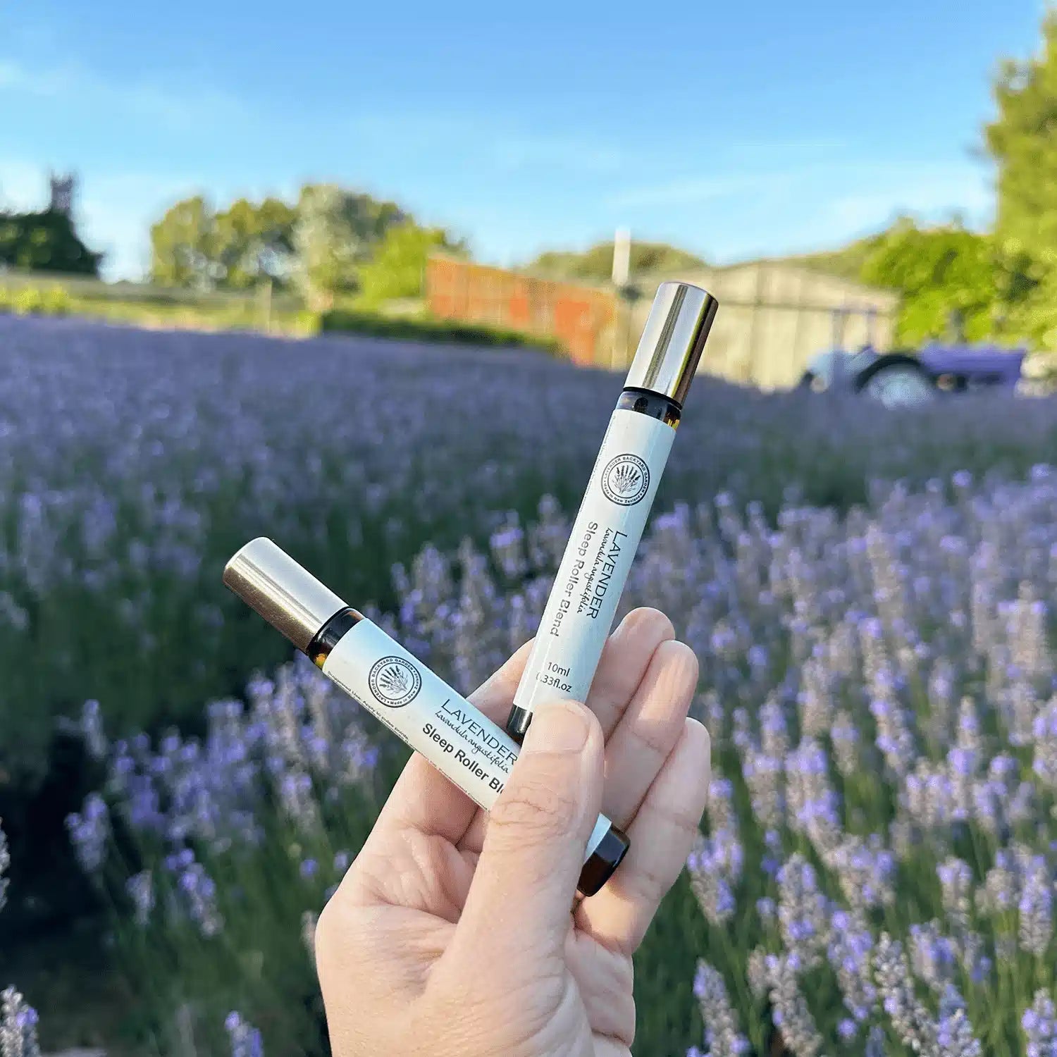 Two Sweet Dream Lavender Sleep Roller Blends, scented by lavender essential oils, held by hand with a background of blooming lavender flowers, a rustic farm shed, and a purple old tractor at Lavender Backyard Garden, NZ.