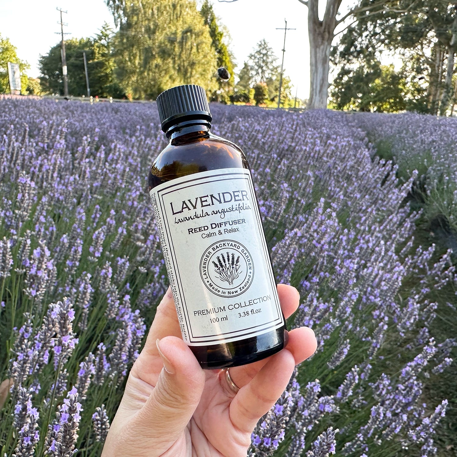 Uplifting Lavender Essential Oils Reed Diffuser in amber bottle held against lavender fields at Lavender Backyard Garden, NZ.