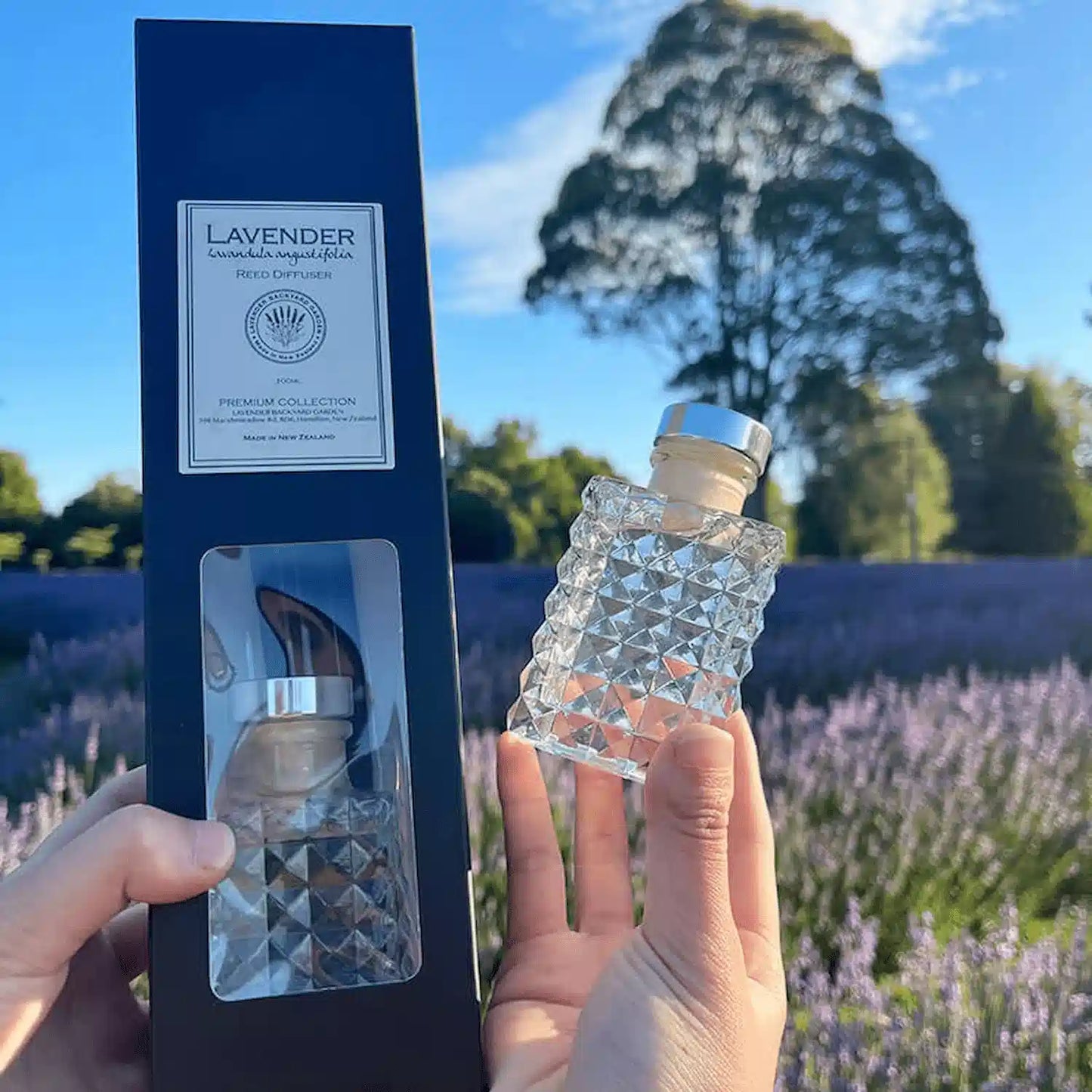 Uplifting Lavender Essential Oils Reed Diffuser, geo glass held by hand with a black gift box against a purple lavender field.