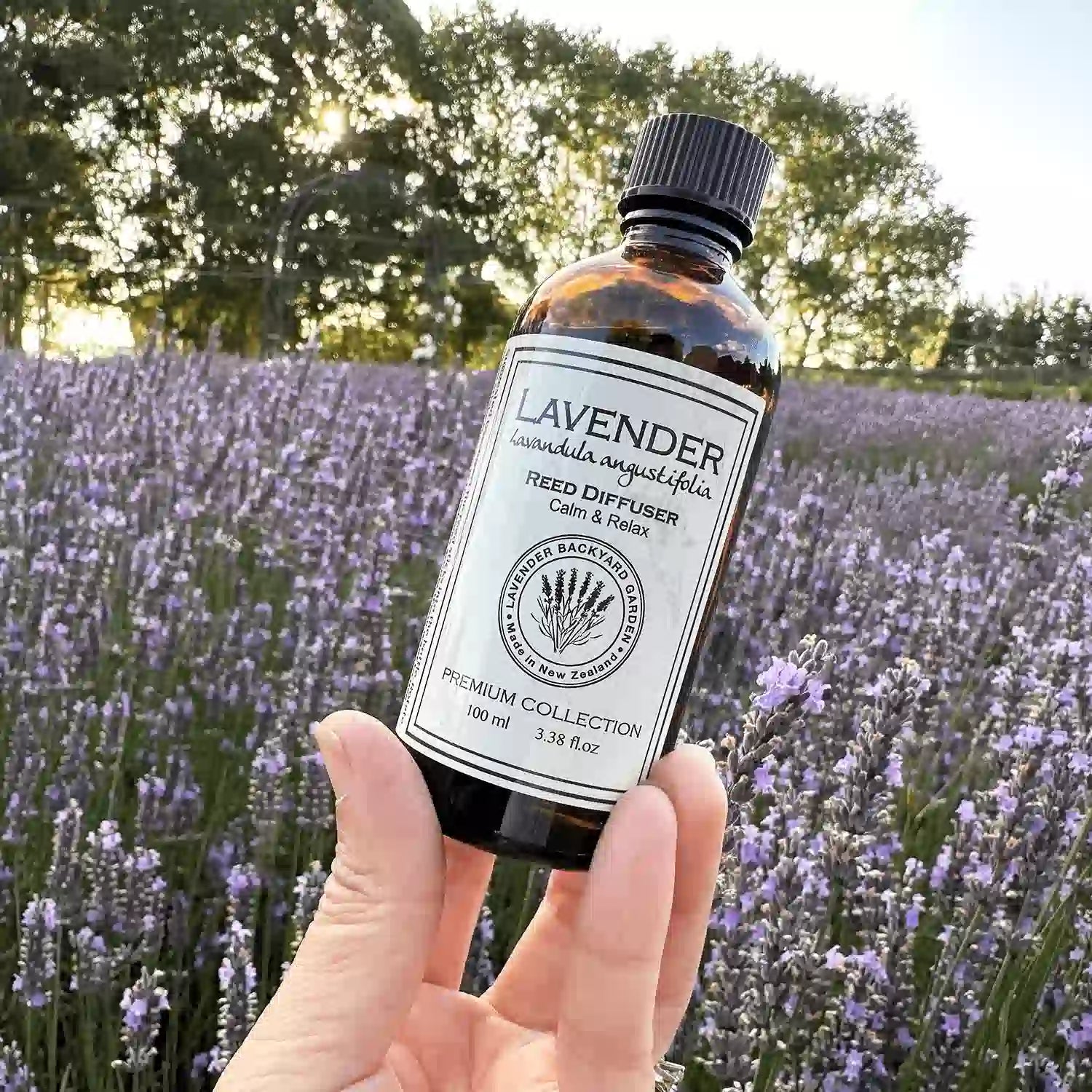 Uplifting Reed Diffuser in amber glass bottle held by hand against a sea of purple lavender in the background.