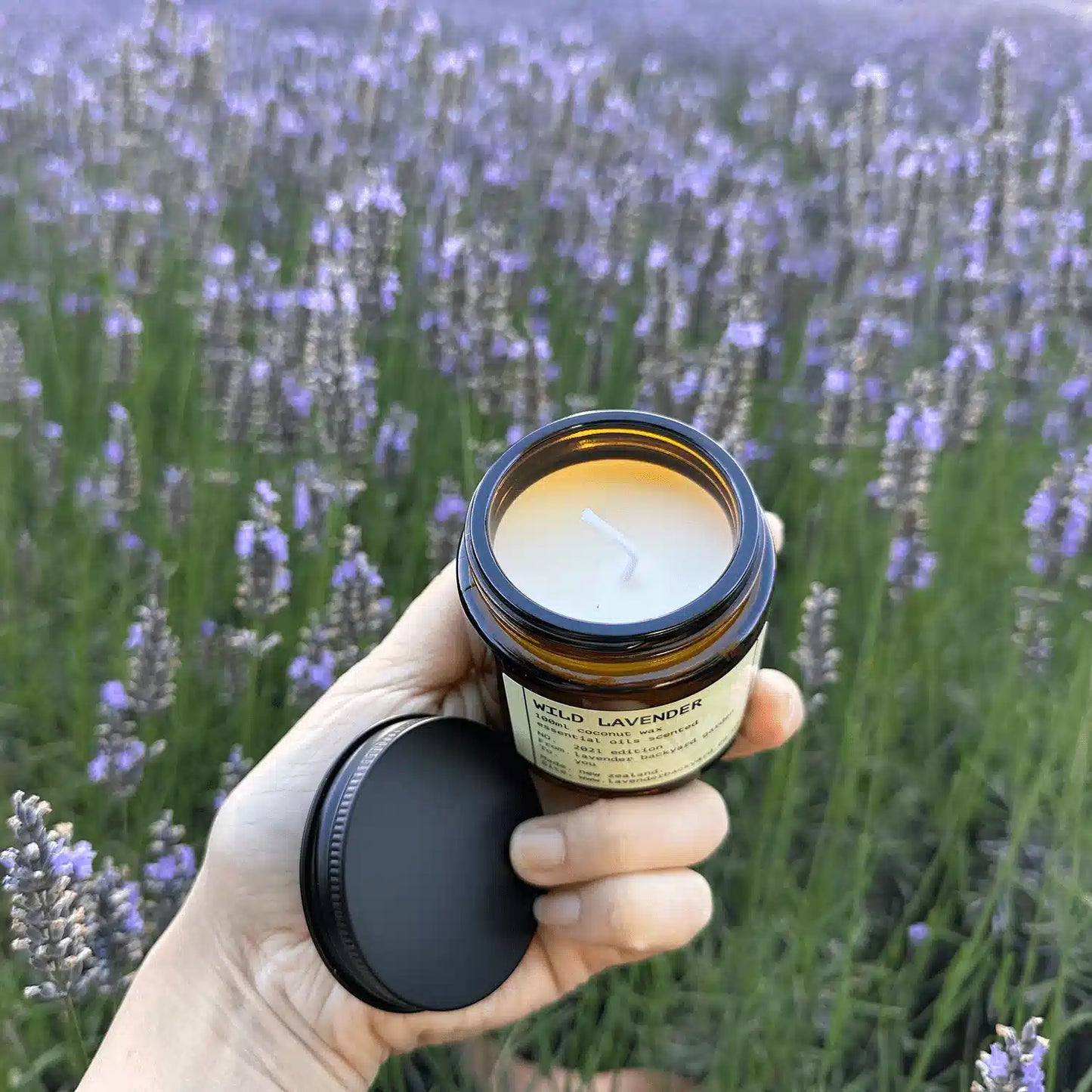 Wild Lavender + Vetiver coconut candle with the lid open, showcasing the inner texture of the candle, scented by essential oils. The background features blooming lavender fields at Lavender Backyard Garden, NZ.