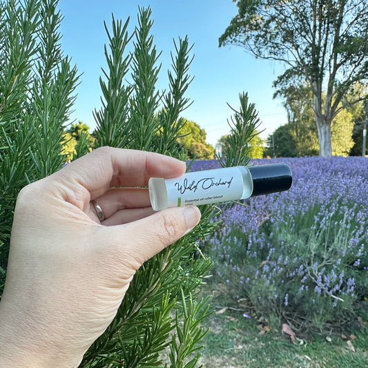 Wild Orchard Essential Oil Roller Blend Natural Perfume, held by hand against a background of rosemary bushes and lavender field at Lavender Backyard Garden, New Zealand.