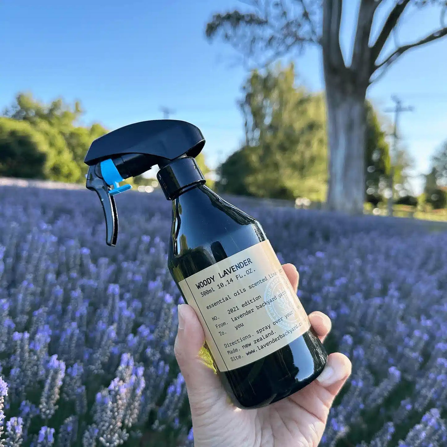 Woody Lavender Linen Spray held by hand against rows of blooming lavender fields with a backdrop of eucalyptus trees at Lavender Backyard Garden, NZ.